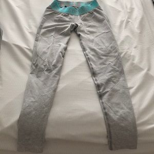 Gym shark seamless leggings